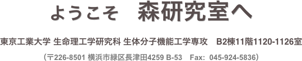 ようこそ　森研究室へ 
東京工業大学 生命理工学研究科 生体分子機能工学専攻　B2棟11階1120-1126室
（〒226-8501 横浜市緑区長津田4259 B-53　Fax:  045-924-5836）
